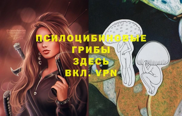 эйфоретик Алексин